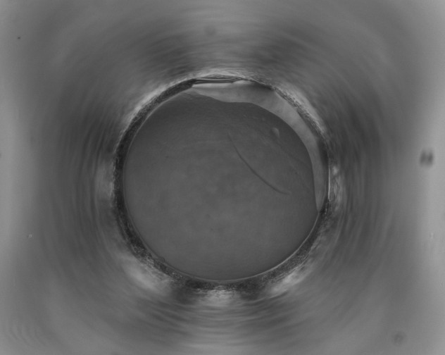 X0000090770204200707201446