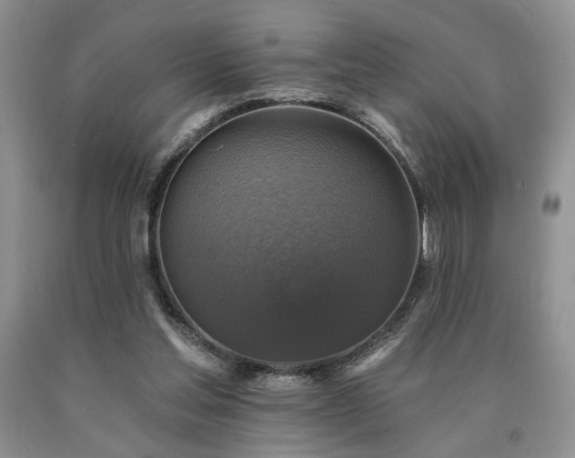 X0000090770205200707201445