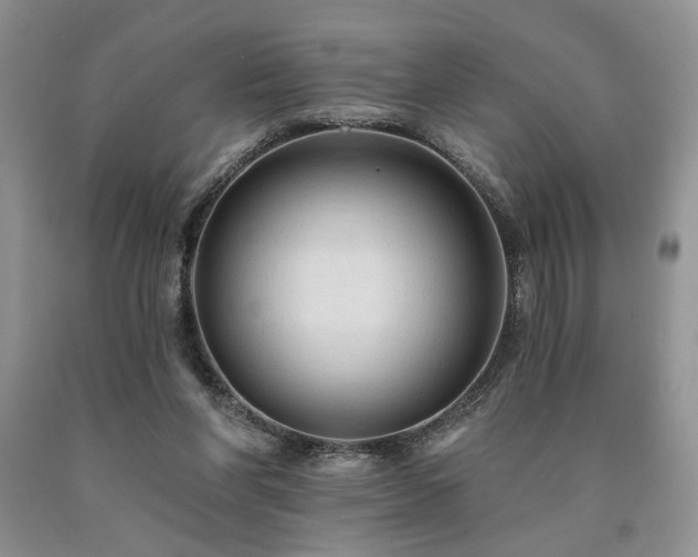 X0000090770206200707201445