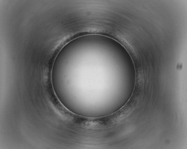 X0000090770208200707201445