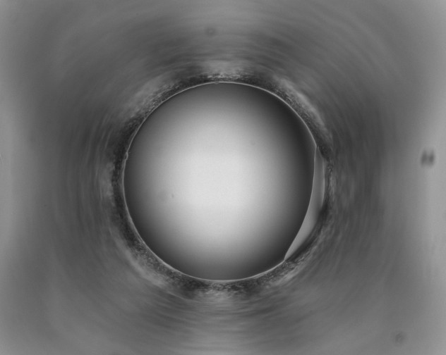 X0000090770209200707201445