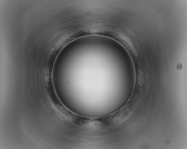 X0000090770210200707201445