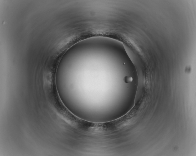 X0000090770211200707201445