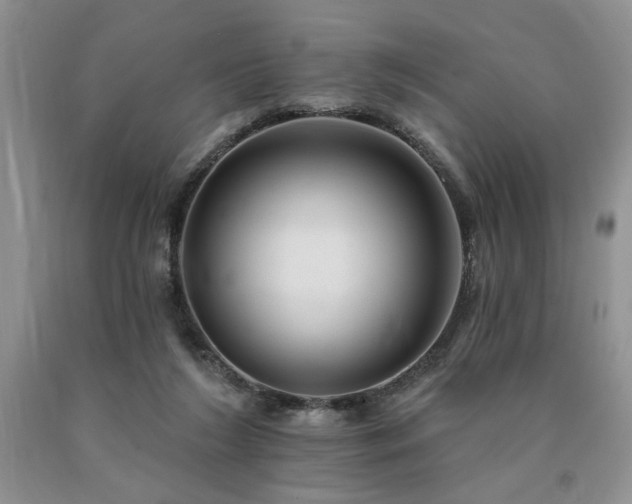 X0000090770212200707201445