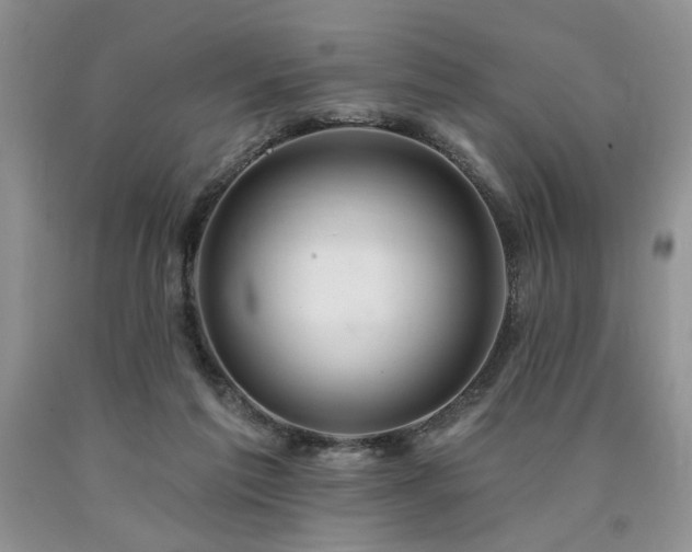 X0000090770213200707201445