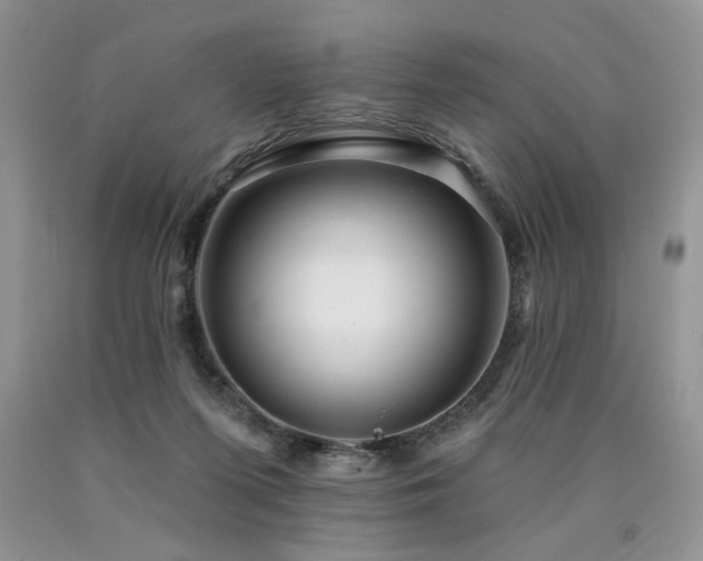 X0000090770215200707201445