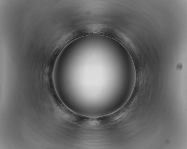 X0000090770217200707201445