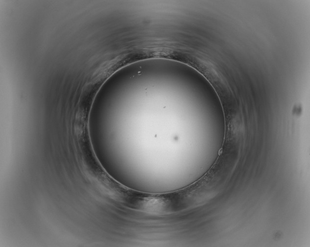 X0000090770218200707201445