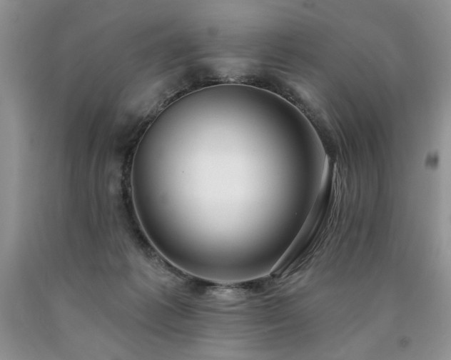 X0000090770221200707201445