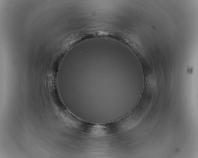 X0000090770222200707201445