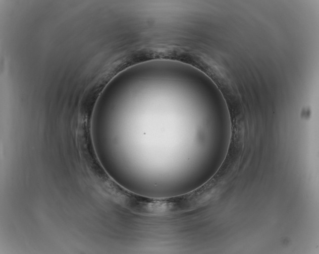 X0000090770225200707201445