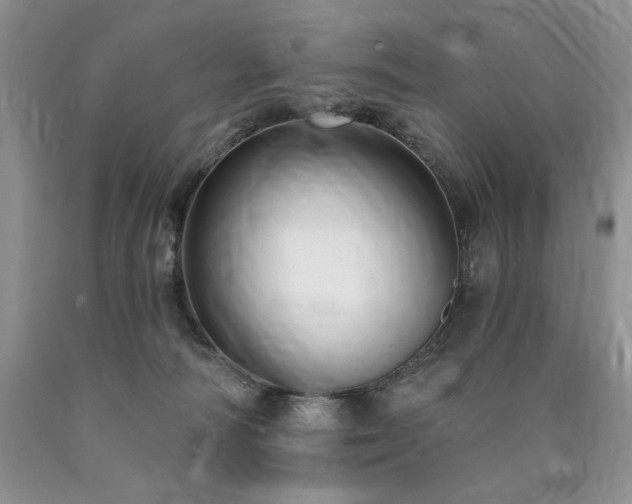 X0000090770226200707201445