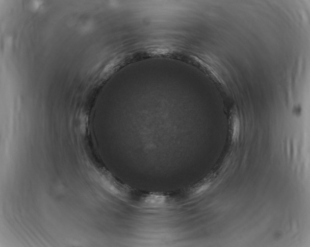 X0000090770227200707201445