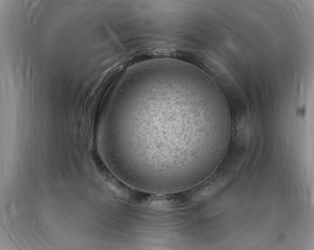 X0000090770228200707201445
