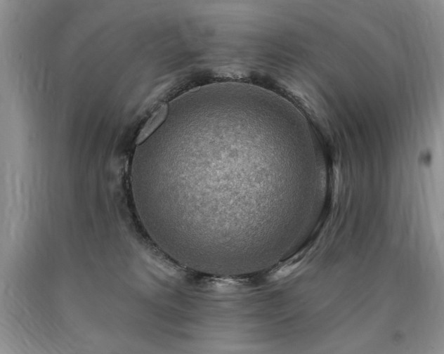 X0000090770229200707201445