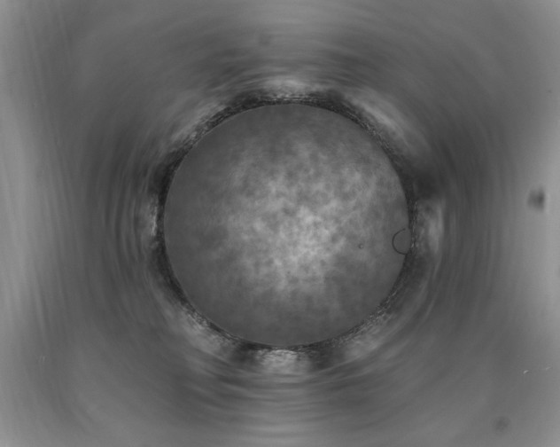 X0000090770230200707201445