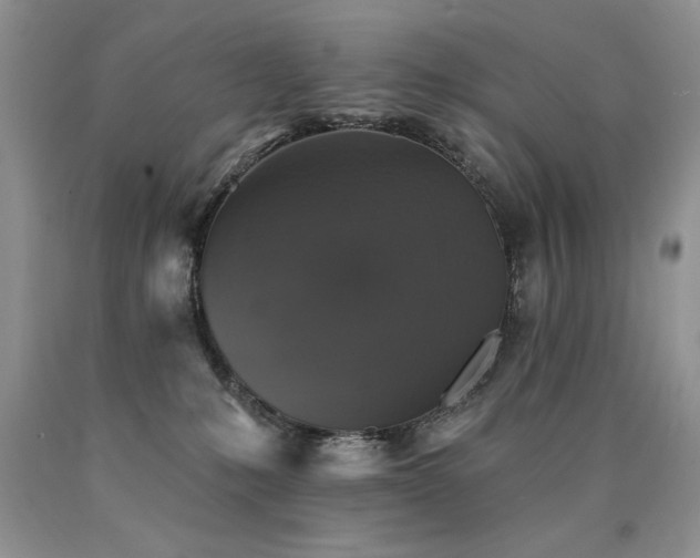 X0000090770231200707201445