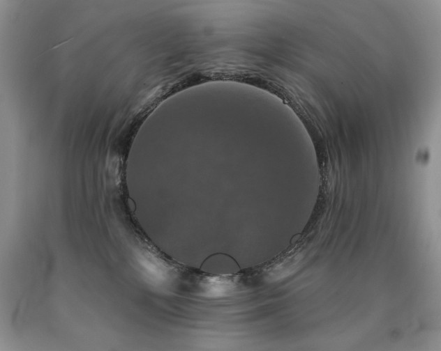 X0000090770232200707201445