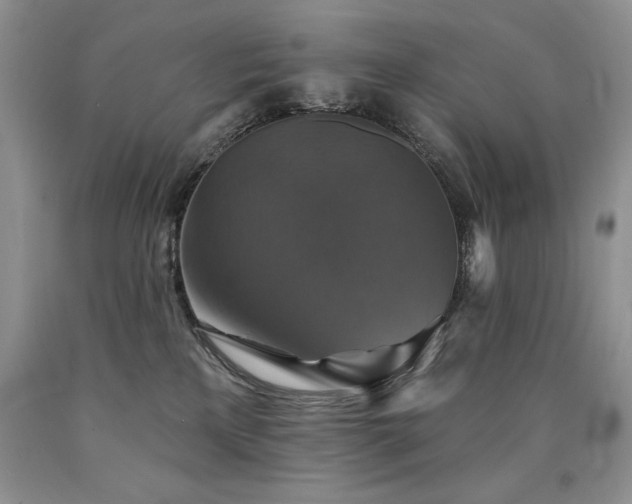 X0000090770233200707201445