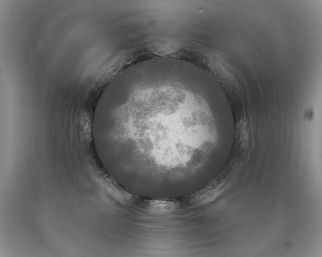 X0000090770234200707201445