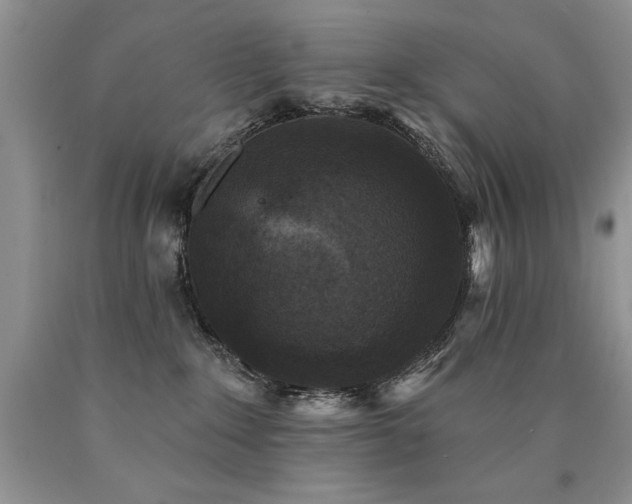 X0000090770235200707201445