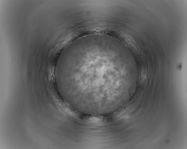 X0000090770236200707201445