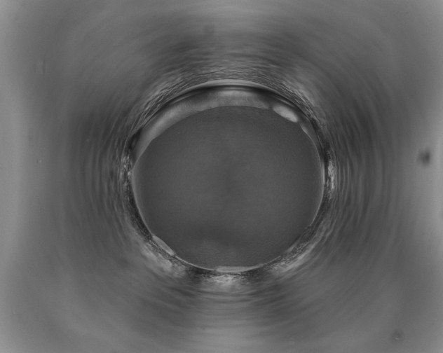 X0000090770237200707201445