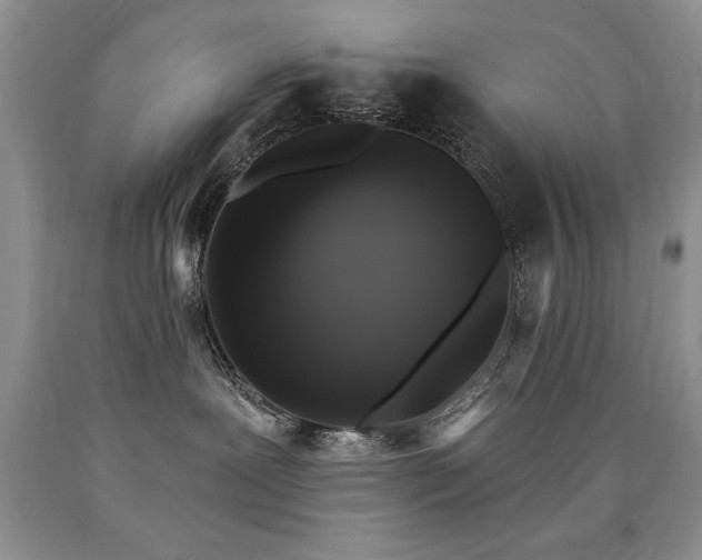 X0000090770239200707201445