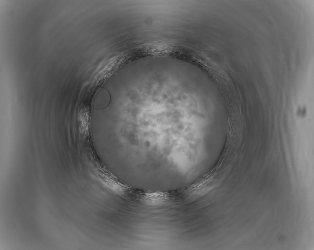 X0000090770240200707201445