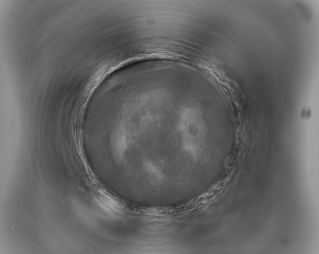 X0000090770241200707201444