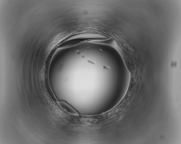 X0000090770242200707201444