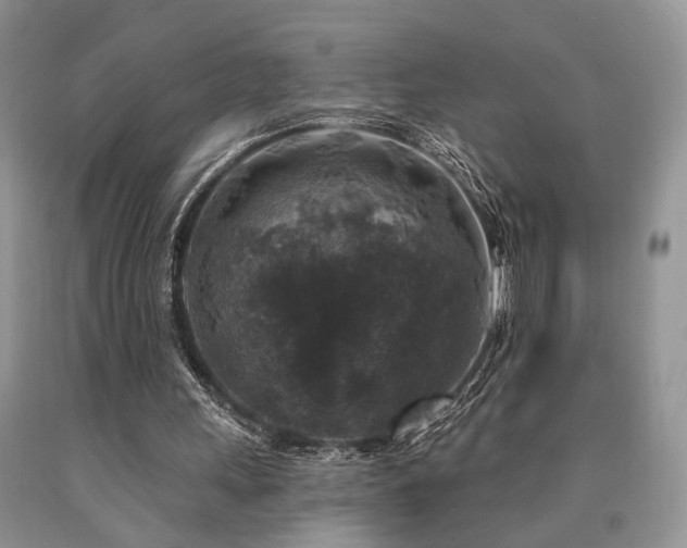 X0000090770243200707201444