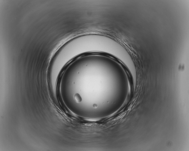 X0000090770244200707201444