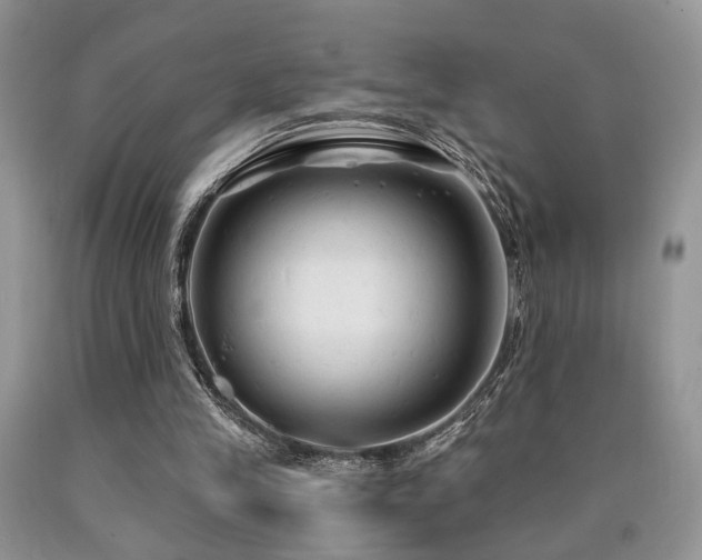 X0000090770245200707201444