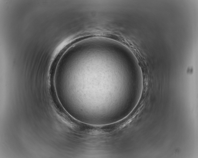 X0000090770246200707201444