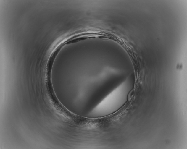 X0000090770247200707201444