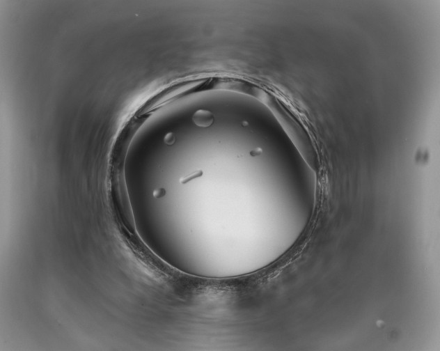 X0000090770248200707201444