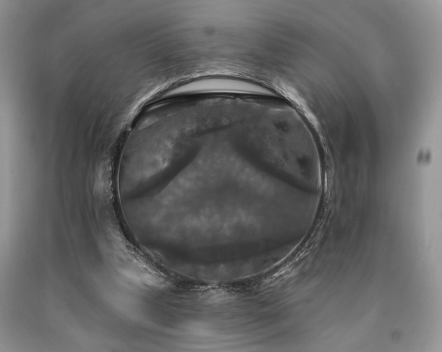 X0000090770249200707201444