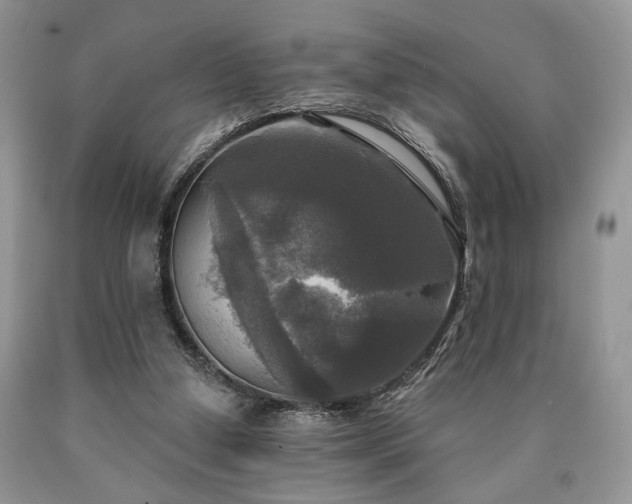X0000090770250200707201444