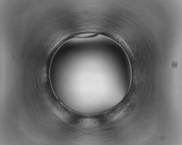 X0000090770251200707201444