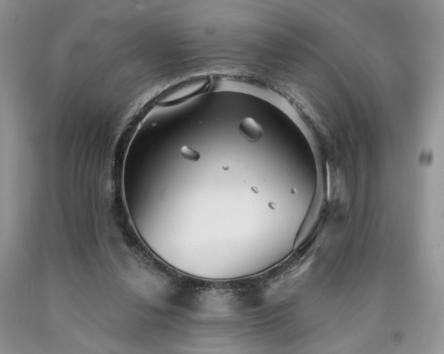 X0000090770252200707201444
