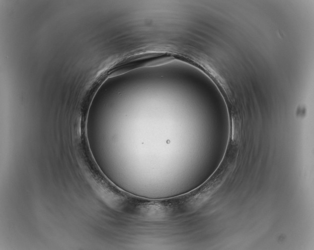 X0000090770253200707201445