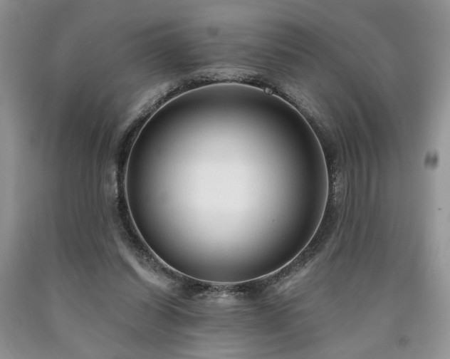X0000090770254200707201445