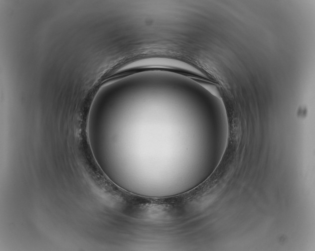 X0000090770255200707201445