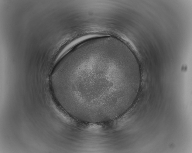 X0000090770257200707201445