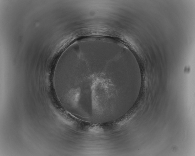 X0000090770258200707201445
