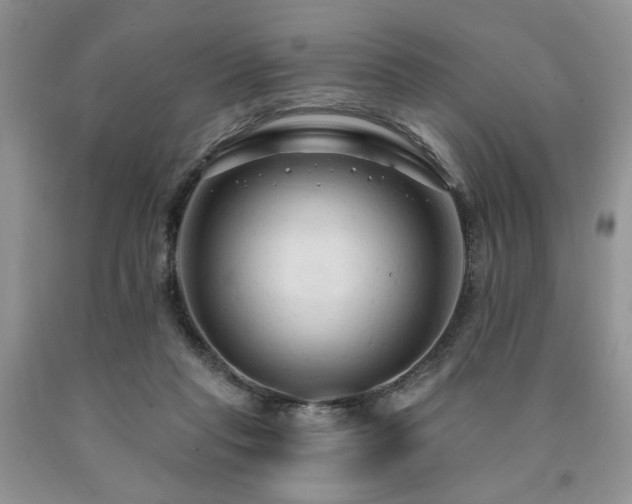 X0000090770261200707201445