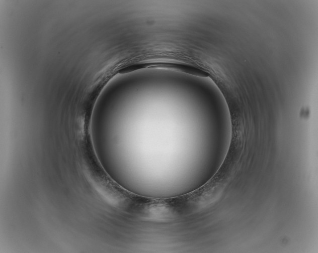 X0000090770262200707201445