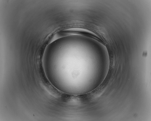 X0000090770263200707201445