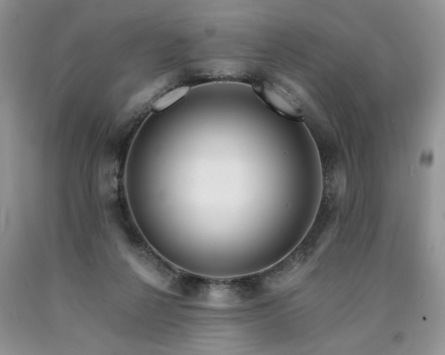 X0000090770264200707201445